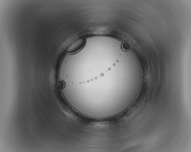 X0000112840303200908281557