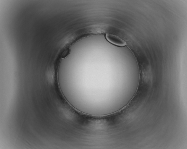 X0000112840304200908281557