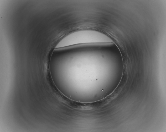 X0000112840309200908281557