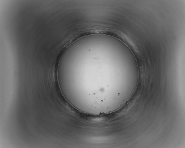 X0000112840313200908281557