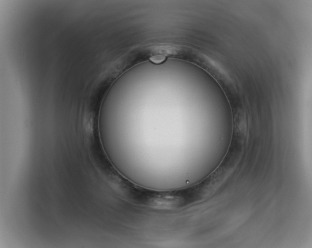 X0000112840315200908281557