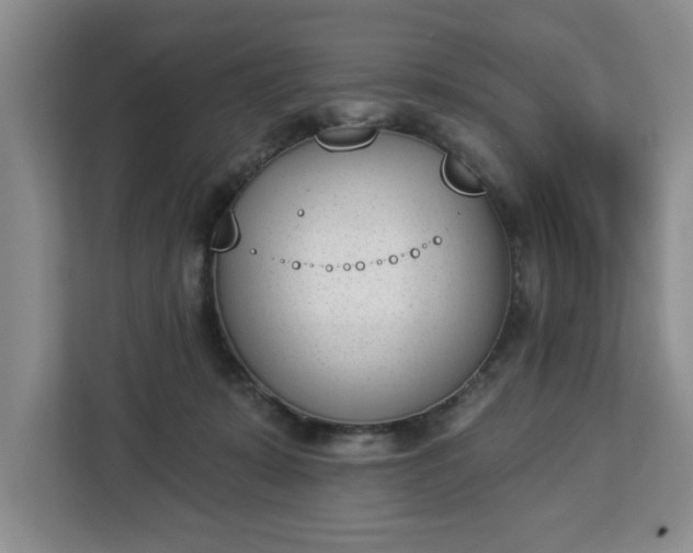 X0000112840319200908281557