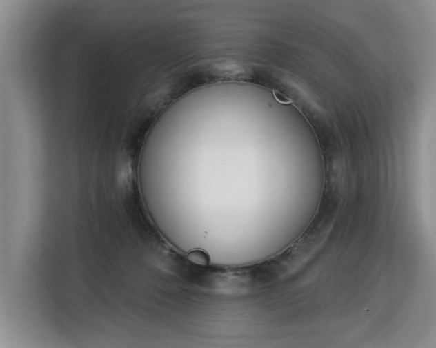 X0000112840320200908281557