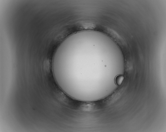 X0000112840321200908281557