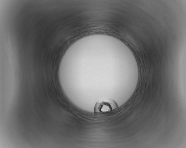 X0000112840324200908281557