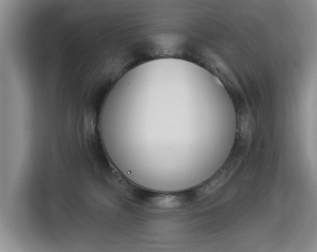 X0000112840326200908281557