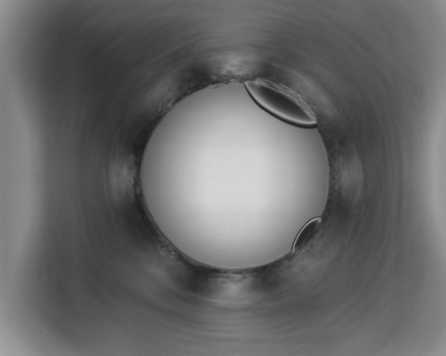 X0000112840328200908281557