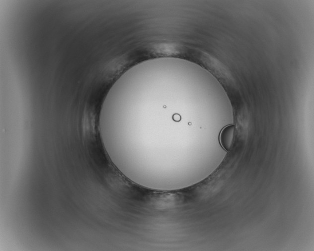 X0000112840330200908281557