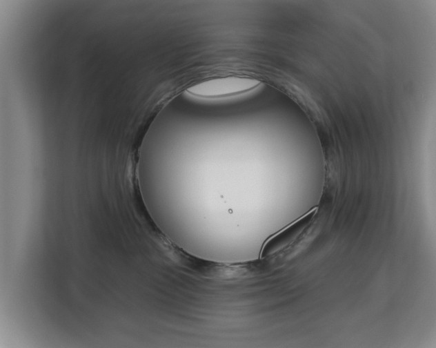 X0000112840333200908281557