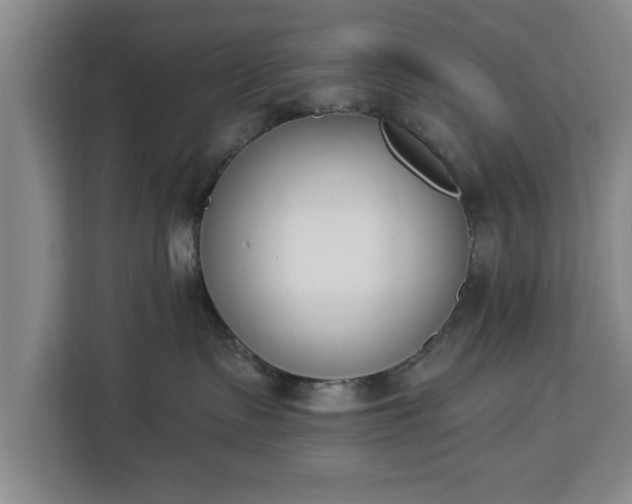 X0000112840335200908281557