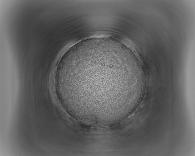 X0000112840337200908281556