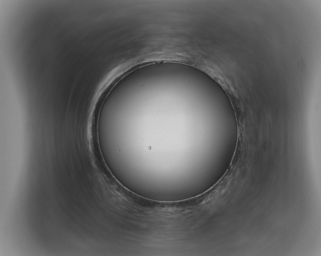 X0000112840340200908281556