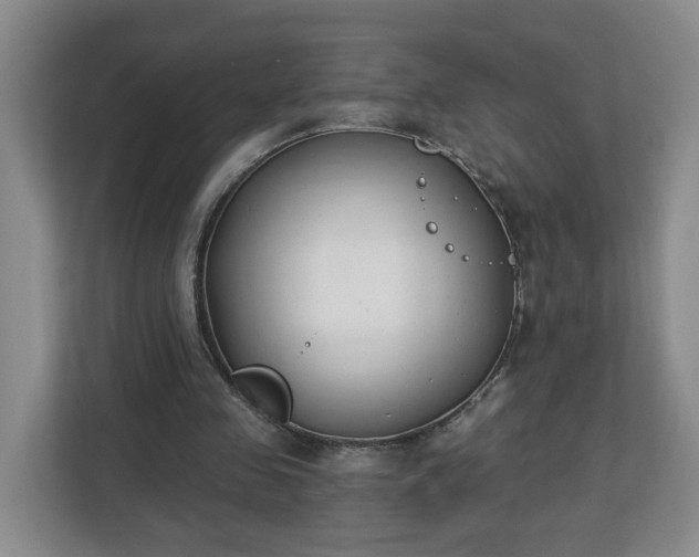 X0000112840341200908281556