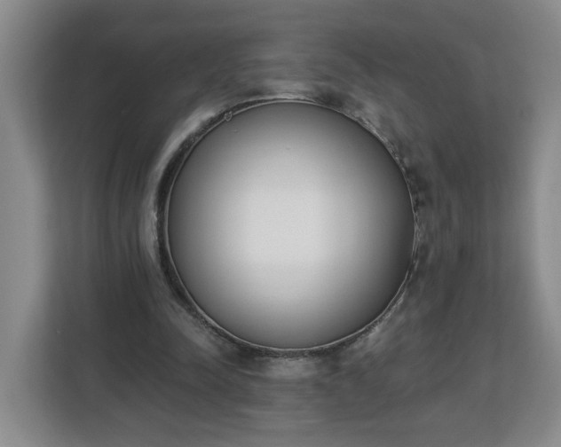 X0000112840342200908281556