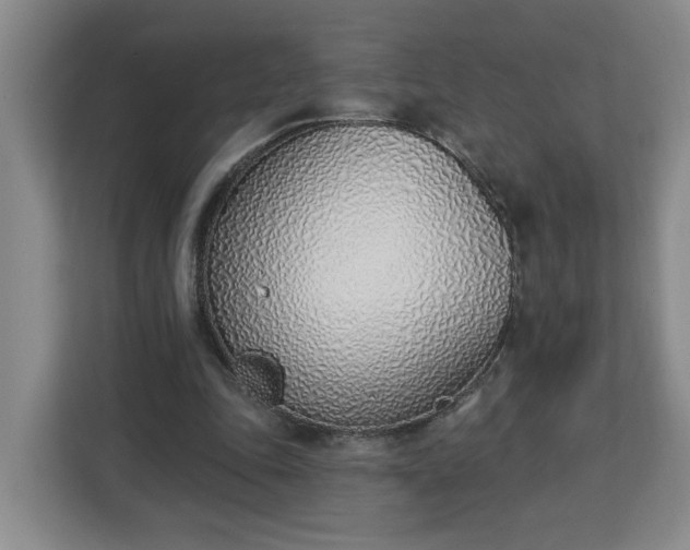 X0000112840343200908281556