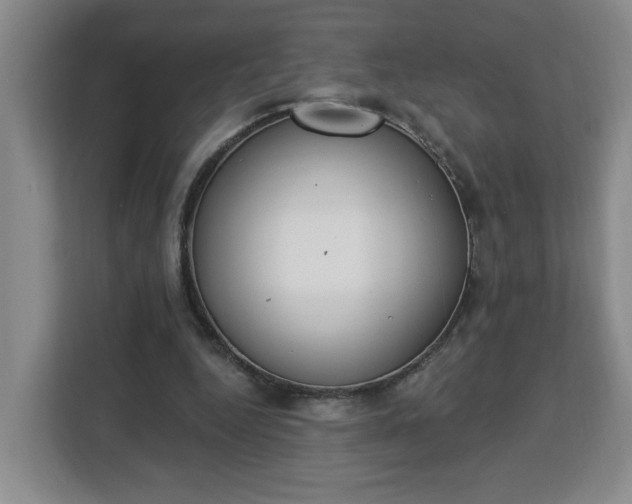 X0000112840344200908281556