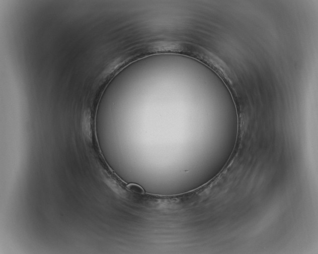 X0000112840345200908281556