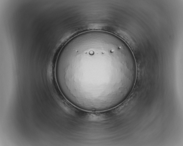 X0000112840346200908281556