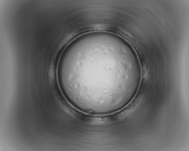 X0000112840347200908281556