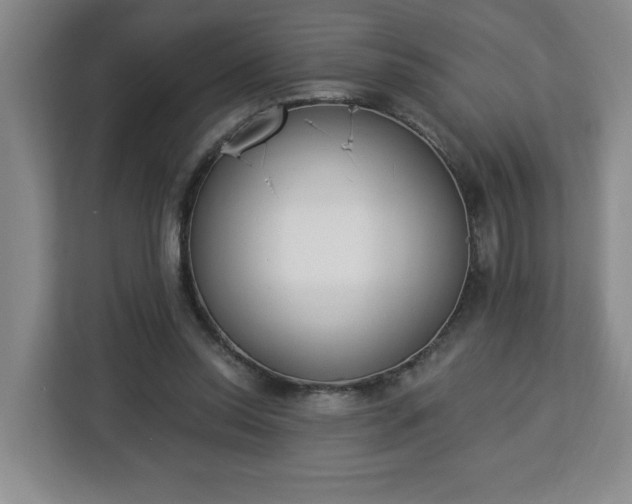 X0000112840350200908281556