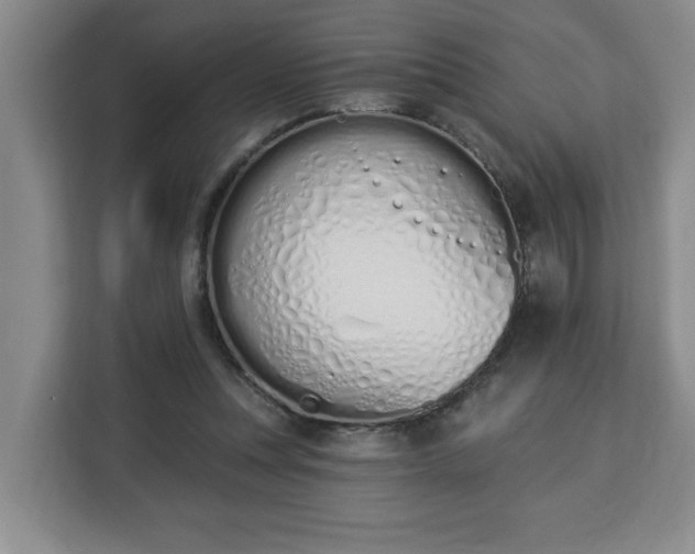 X0000112840351200908281556