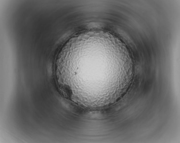 X0000112840353200908281556