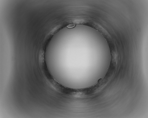 X0000112840356200908281556