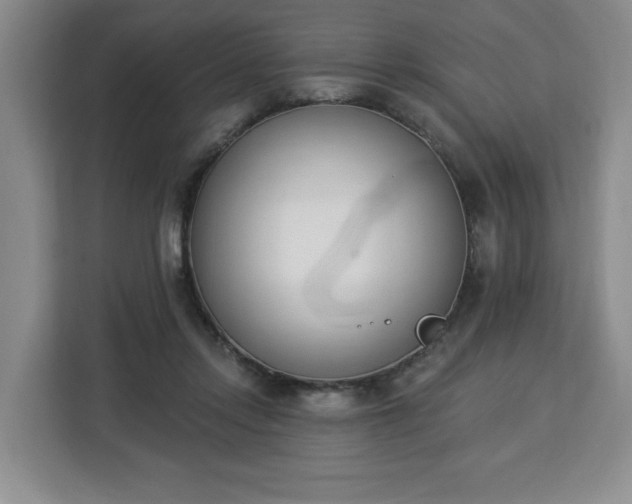 X0000112840358200908281556