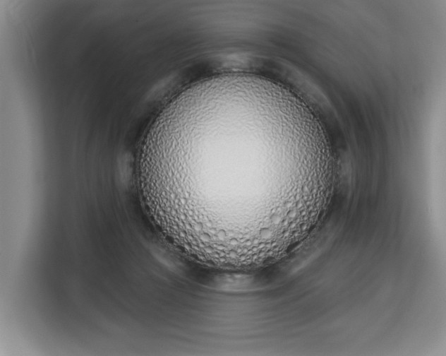 X0000112840361200908281556