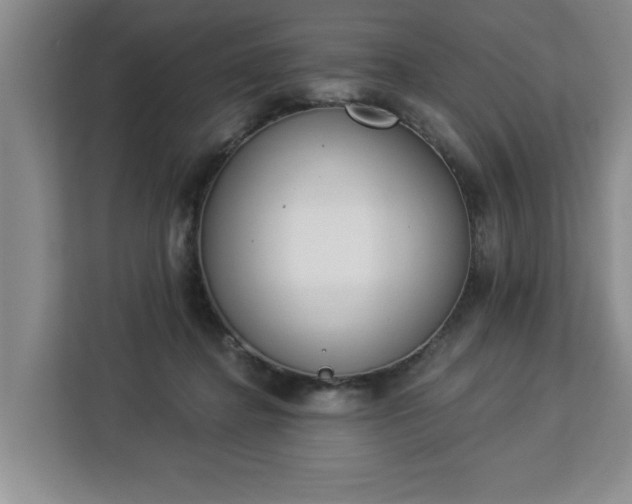 X0000112840364200908281556