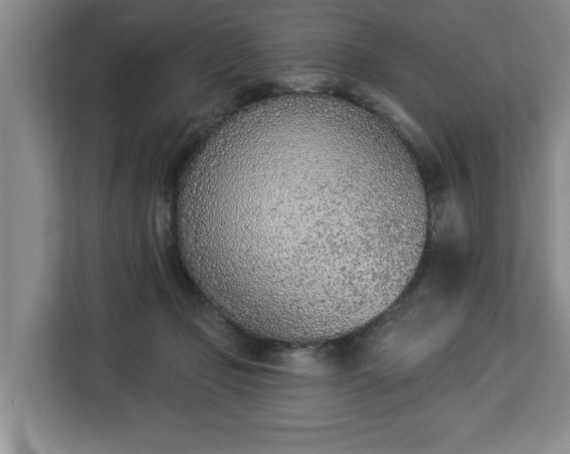 X0000112840365200908281556