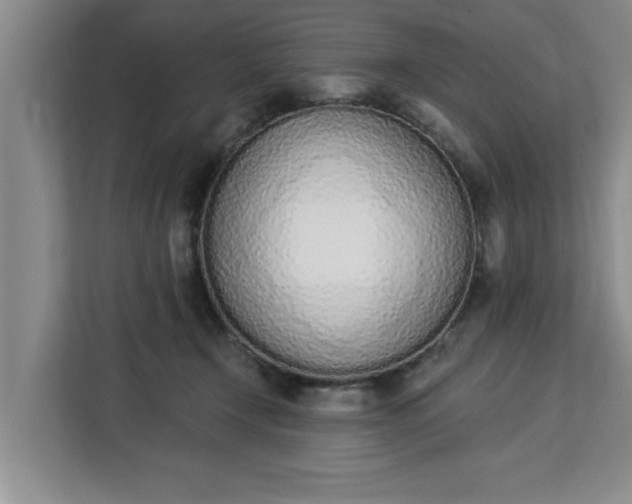 X0000112840366200908281556