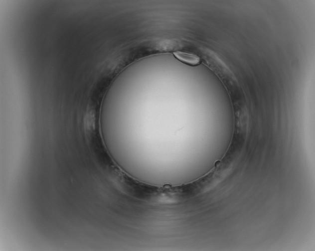 X0000112840368200908281556