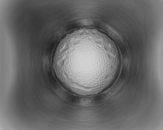 X0000112840373200908281556