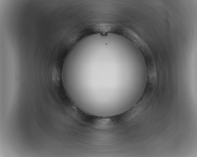 X0000112840374200908281556