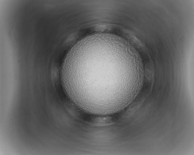 X0000112840375200908281556