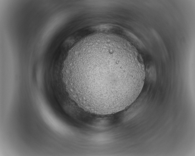 X0000112840381200908281556