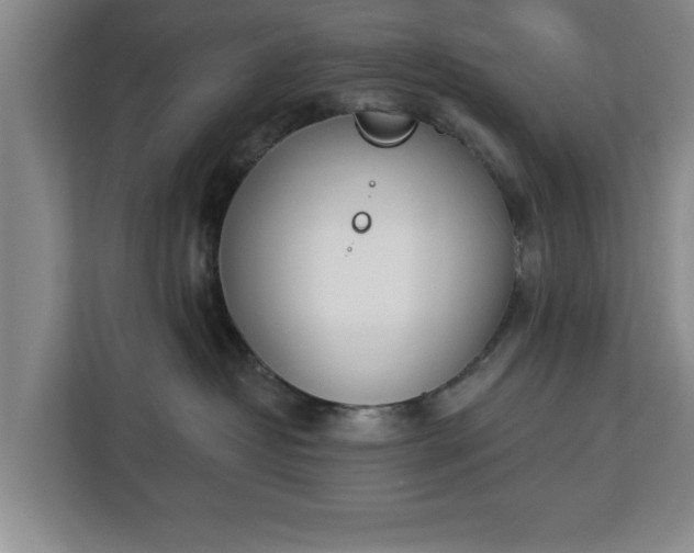 X0000112840382200908281556