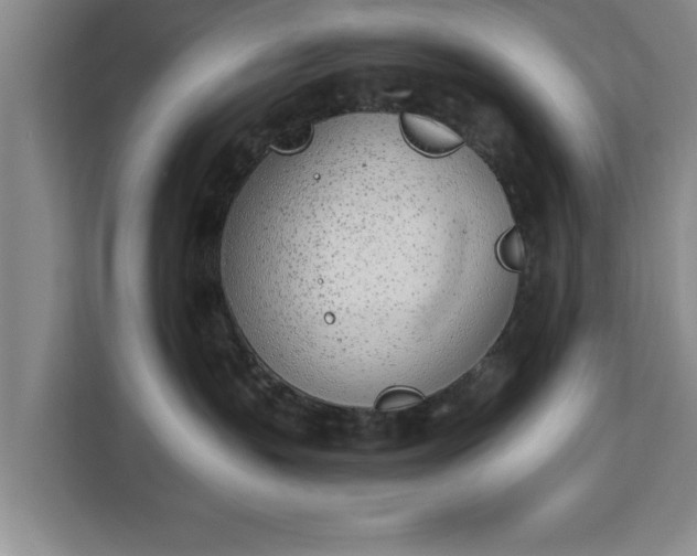 X0000112840383200908281556