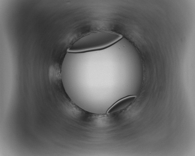 X0000112840384200908281556