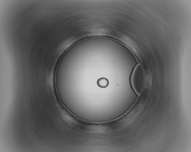 X0000112840389200908281556