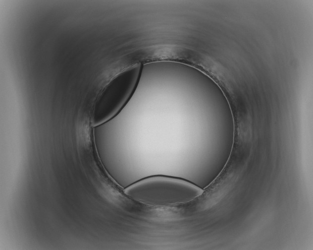 X0000112840393200908281556