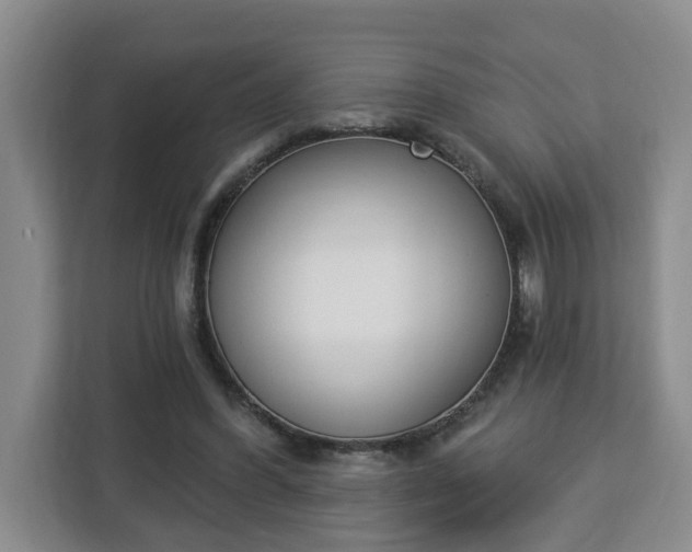 X0000112840396200908281556