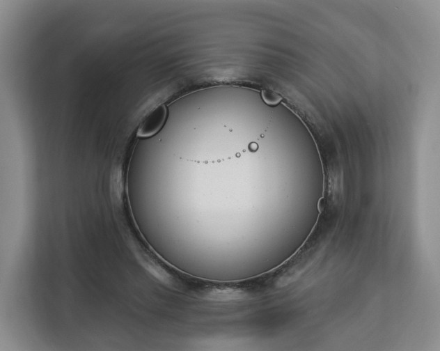 X0000112840397200908281556