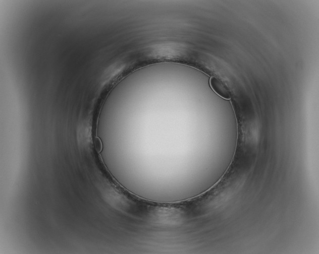 X0000112840399200908281556