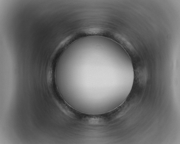 X0000112840400200908281556