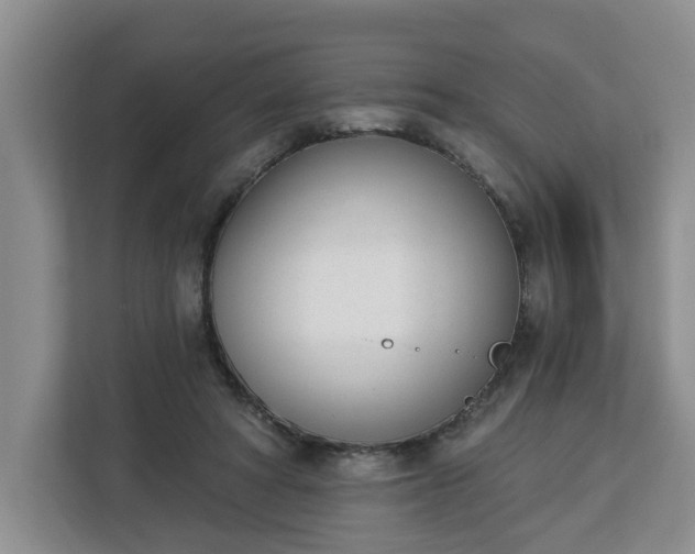 X0000112840402200908281556