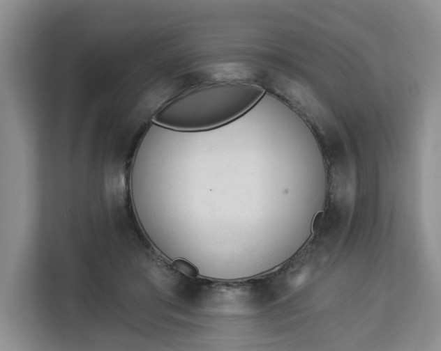 X0000112840405200908281556