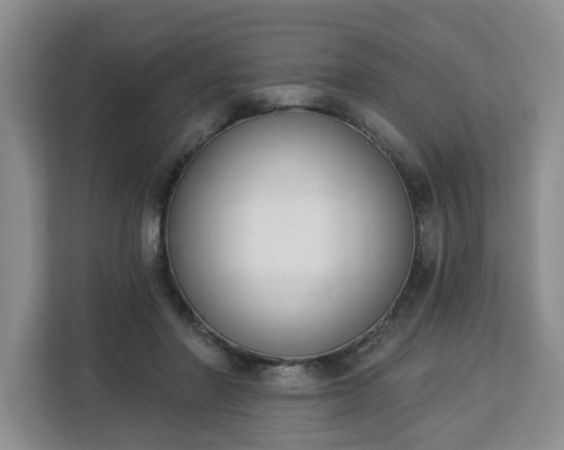 X0000112840406200908281556