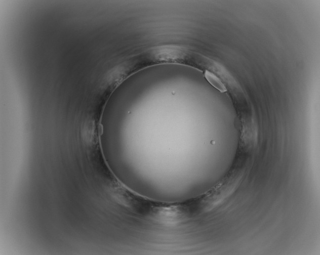 X0000112840411200908281556